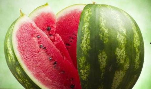 今日宜吃瓜小说别名,揭秘今日宜吃瓜背后的小说传奇