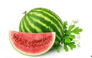 今日宜吃瓜小说别名,揭秘今日宜吃瓜背后的小说传奇