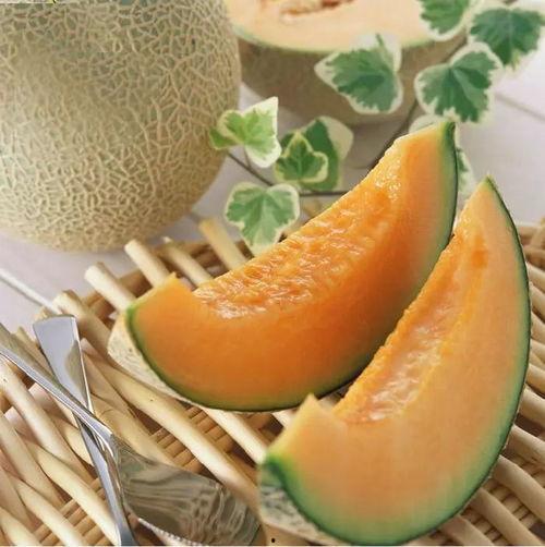 新疆晓蜜25号哈密瓜今日价格,价格行情一览”