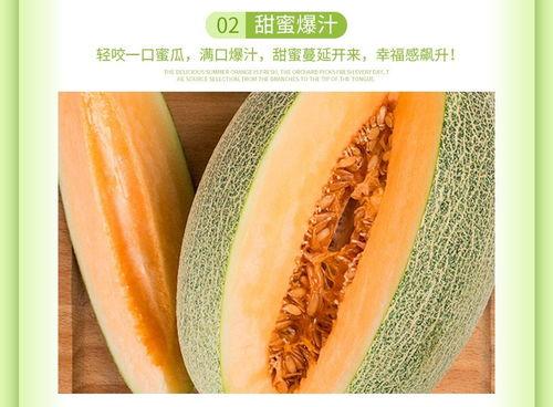 新疆晓蜜25号哈密瓜今日价格,价格行情一览”