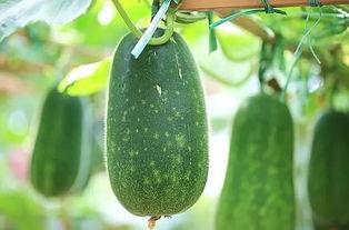 今日吃瓜必吃,娱乐圈最新热点事件大盘点