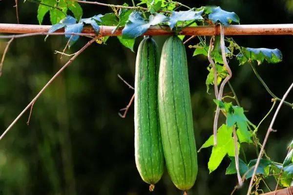 今日吃瓜必吃,娱乐圈最新热点事件大盘点