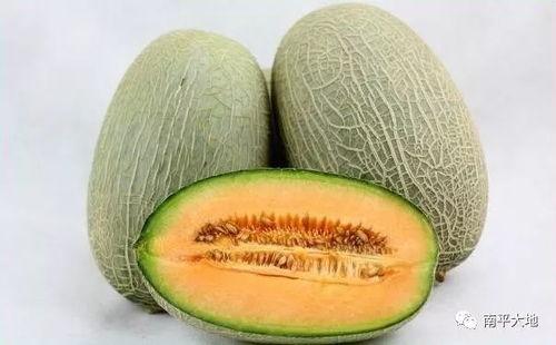 今日24号哈密瓜价格,新鲜上市，价格波动解析”