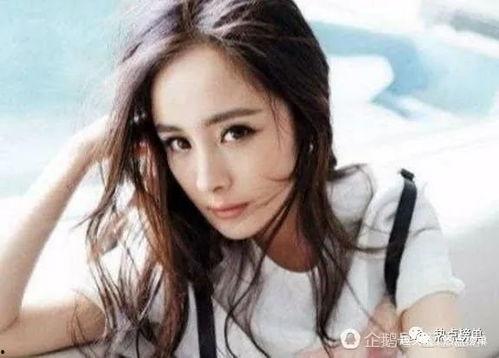 各地明星网红排名榜,盘点各地人气王