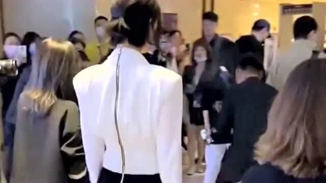 在哪里可以偶遇明星网红,明星网红偶遇记