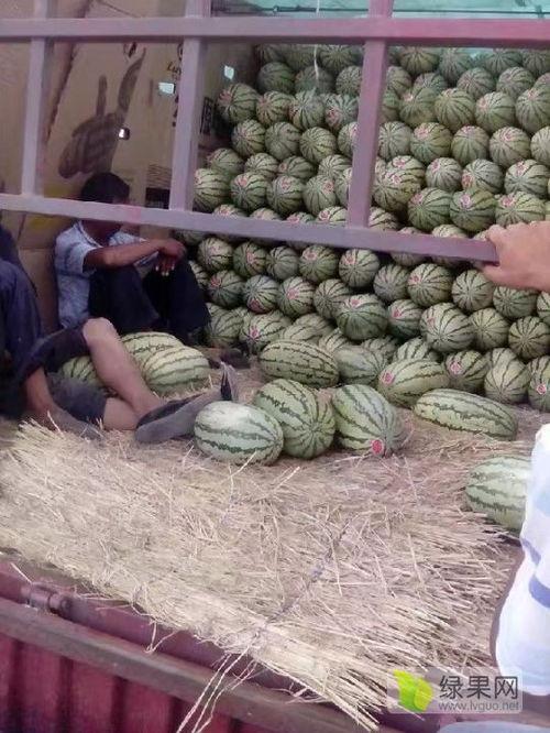 烟台麒麟瓜今日价格,价格行情一览”