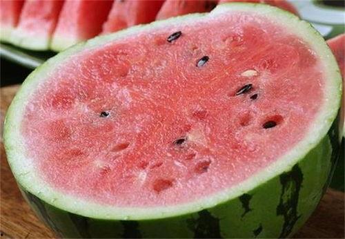 烟台麒麟瓜今日价格,价格行情一览”