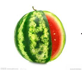 今日茄瓜批发价格行情,涨跌波动一览无余