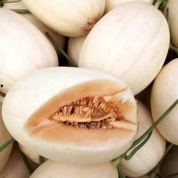 今日东方蜜瓜价格,甜蜜来袭，品质之选！