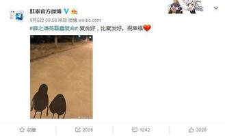 明星网红大量脱粉视频,大量粉丝纷纷脱粉的背后真相