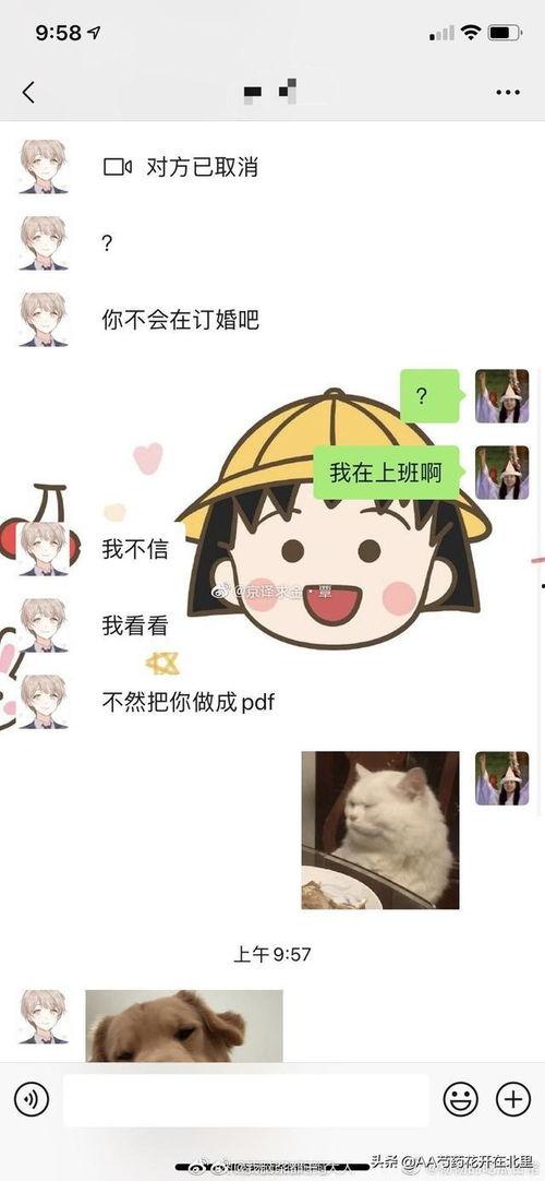 今日吃瓜网红是谁呀图片,揭秘网络红人的神秘面纱