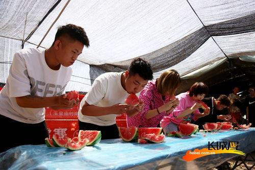 河北今日吃瓜最新消息,揭秘今日热点事件背后的真相