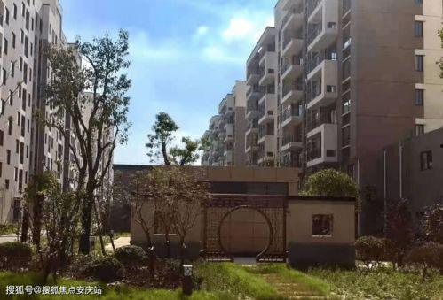 茄瓜行情今日最新走势,今日最新走势解析，涨跌态势一览无余