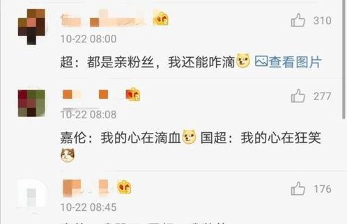 明星网红壁垒有哪些名字,那些鲜为人知的名字背后的故事