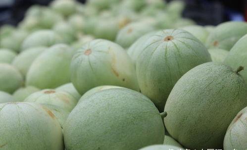 今日8点的瓜,娱乐圈风云再起，揭秘幕后真相