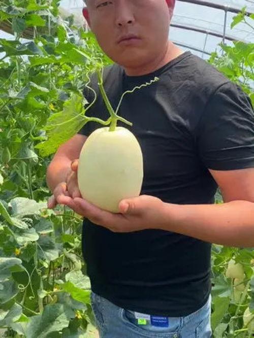 今日8点的瓜,娱乐圈风云再起，揭秘幕后真相