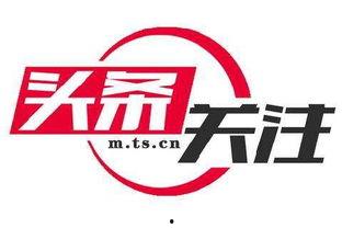 土瓜湾新闻今日头条,揭秘土瓜湾最新动态与社区焦点