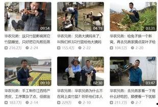 今日头条老李吃瓜视频,揭秘今日头条热门视频背后的故事