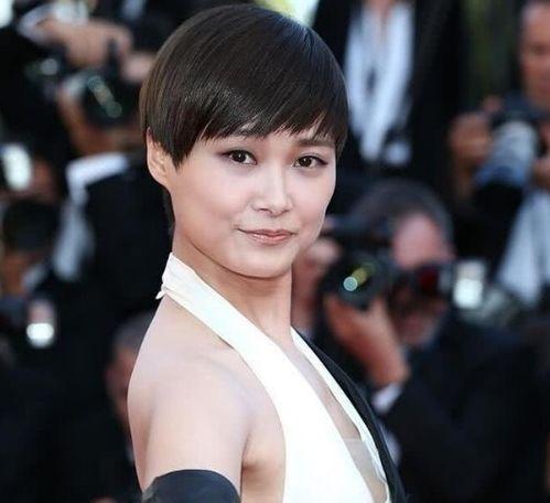 青鹰传媒明星网红经纪,打造明星网红经纪新纪元