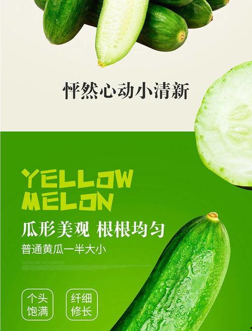 大连鲜瓜今日报价价格表,新鲜直供，价格透明