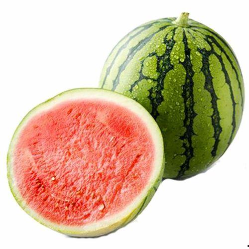 大连鲜瓜今日报价价格表,新鲜直供，价格透明