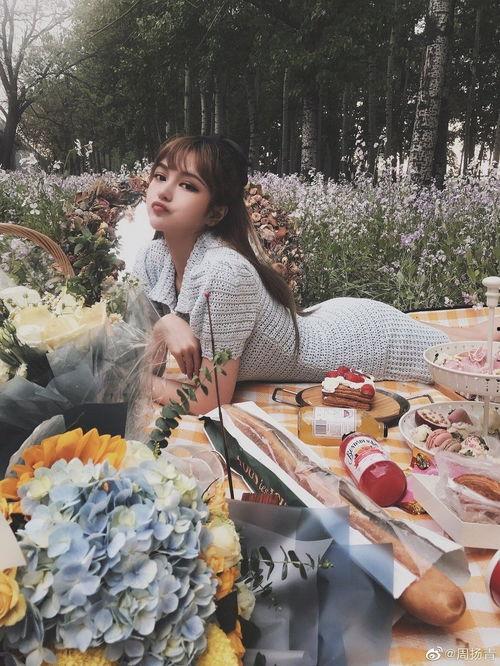 明星网红野餐是谁的,揭秘这场跨界盛宴背后的故事