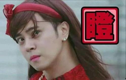 明星网红长春哪里能看见