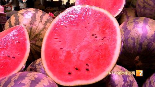 麒麟瓜西瓜行情今日报价,价格波动与市场趋势分析