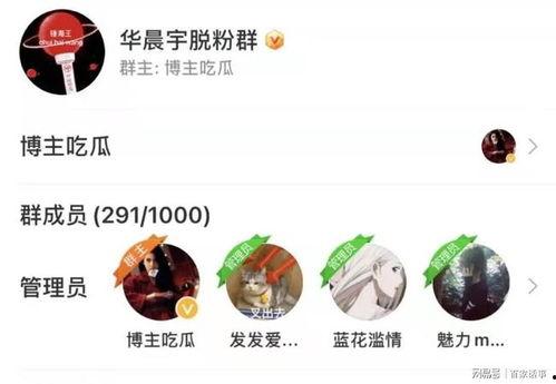 今日热搜瓜,揭秘娱乐圈最新“瓜”事