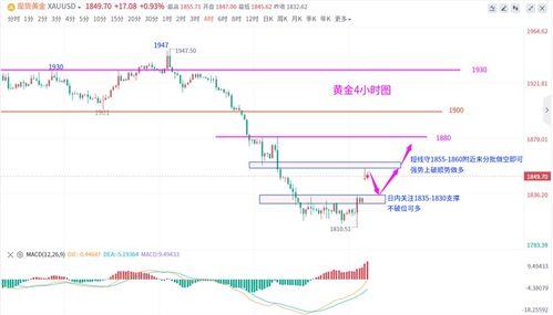 晴蓝福瓜今日价格走势,今日走势解析