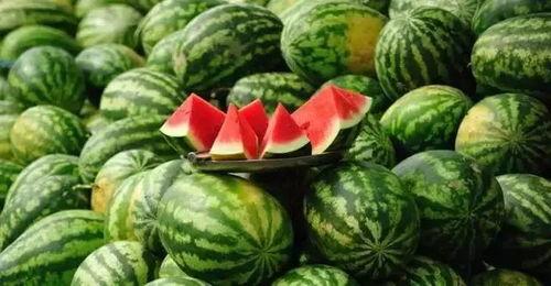 今日看料每日一瓜探花,今日看料每日一瓜背后的故事