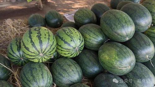 今日看料每日一瓜探花,今日看料每日一瓜背后的故事