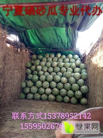 中卫硒砂瓜今日行情,品质瓜果价格走俏，硒元素助力健康市场