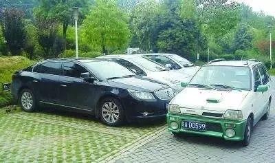 今日海南黑皮车瓜价格,今日行情一览