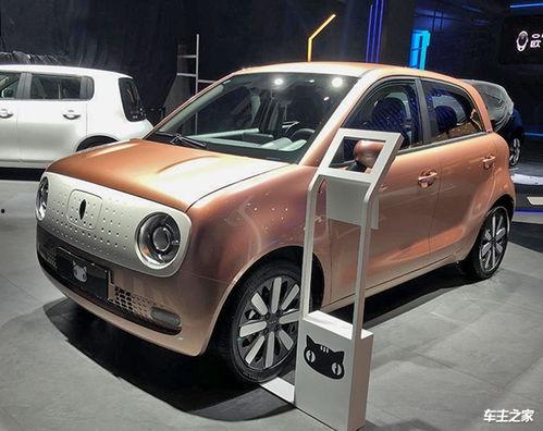 今日海南黑皮车瓜价格,今日行情一览