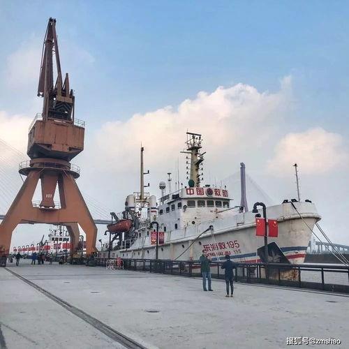 今日份瓜娃来了大钱,今日份喜提巨额财富！