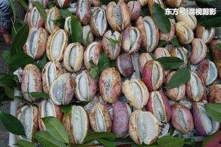 今日八月瓜干货的价格,品味自然，尽享健康美味