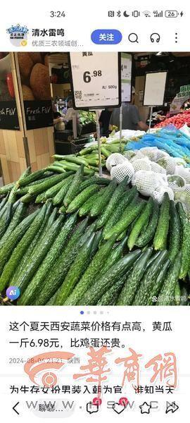 今日蕃瓜价格最新行情,价格波动解析与市场趋势洞察