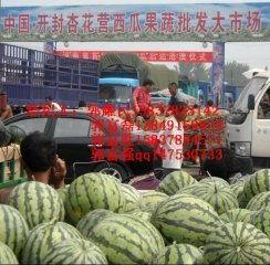 今日开封无籽瓜的价钱,抢购热潮席卷市场