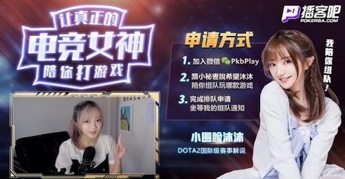 明星网红类热点新闻,揭秘幕后真相与公众舆论交锋