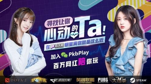 明星网红类热点新闻,揭秘幕后真相与公众舆论交锋