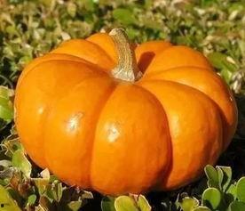 今日最强瓜,揭秘娱乐圈惊天大事件！