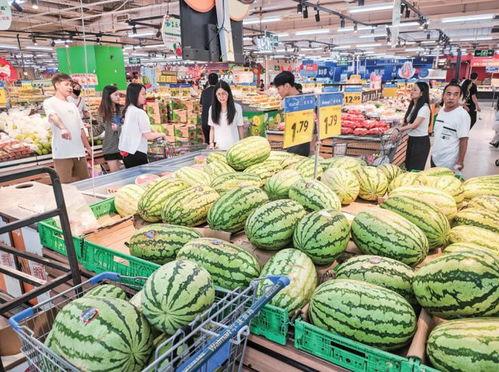 厦门麒麟瓜今日价格,价格行情一览”