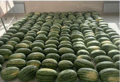 惠州今日吃瓜新闻,揭秘本地热门事件背后的真相