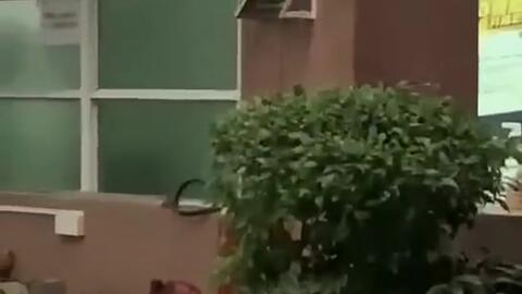 惠州今日吃瓜新闻,揭秘本地热门事件背后的真相