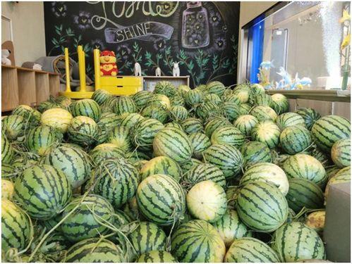 南宁今日吃瓜事件最新进展,真相揭晓，疑云散去