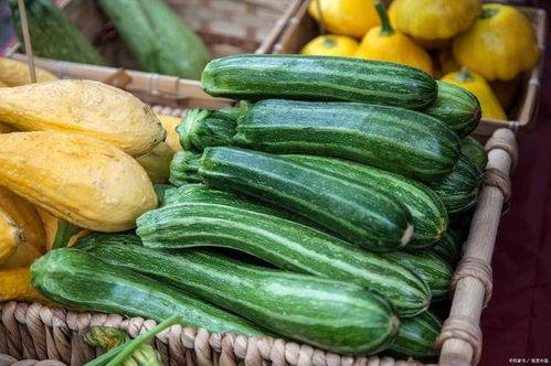 寿光吊瓜今日价格多少,市场行情一览”