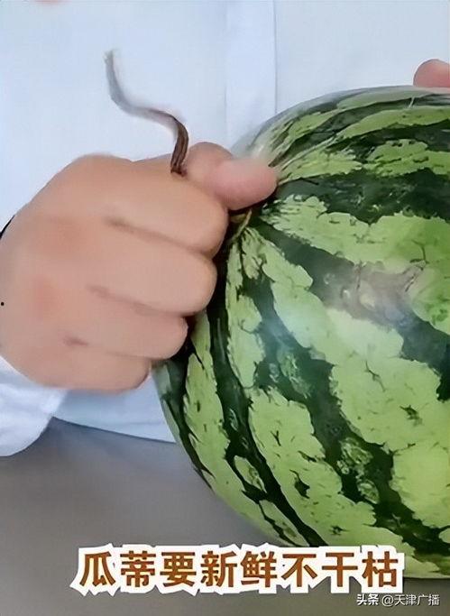 今日小瓜,揭秘热点背后的故事