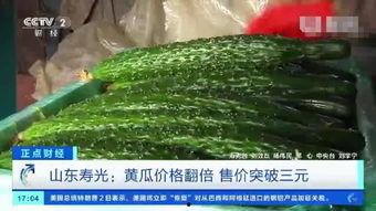 今日寿光吊瓜价格多少钱,多少钱一公斤？”