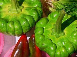 昆明今日姜柄瓜